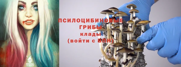 кокс Корсаков