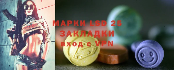 ГАЛЛЮЦИНОГЕННЫЕ ГРИБЫ Коряжма