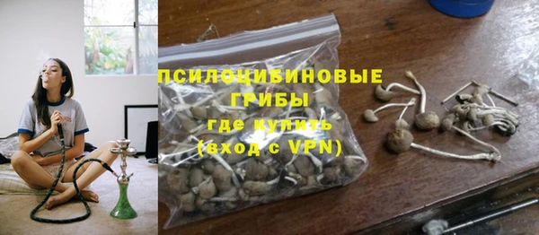 ГАЛЛЮЦИНОГЕННЫЕ ГРИБЫ Коряжма