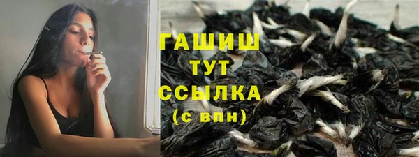 ГАЛЛЮЦИНОГЕННЫЕ ГРИБЫ Коряжма